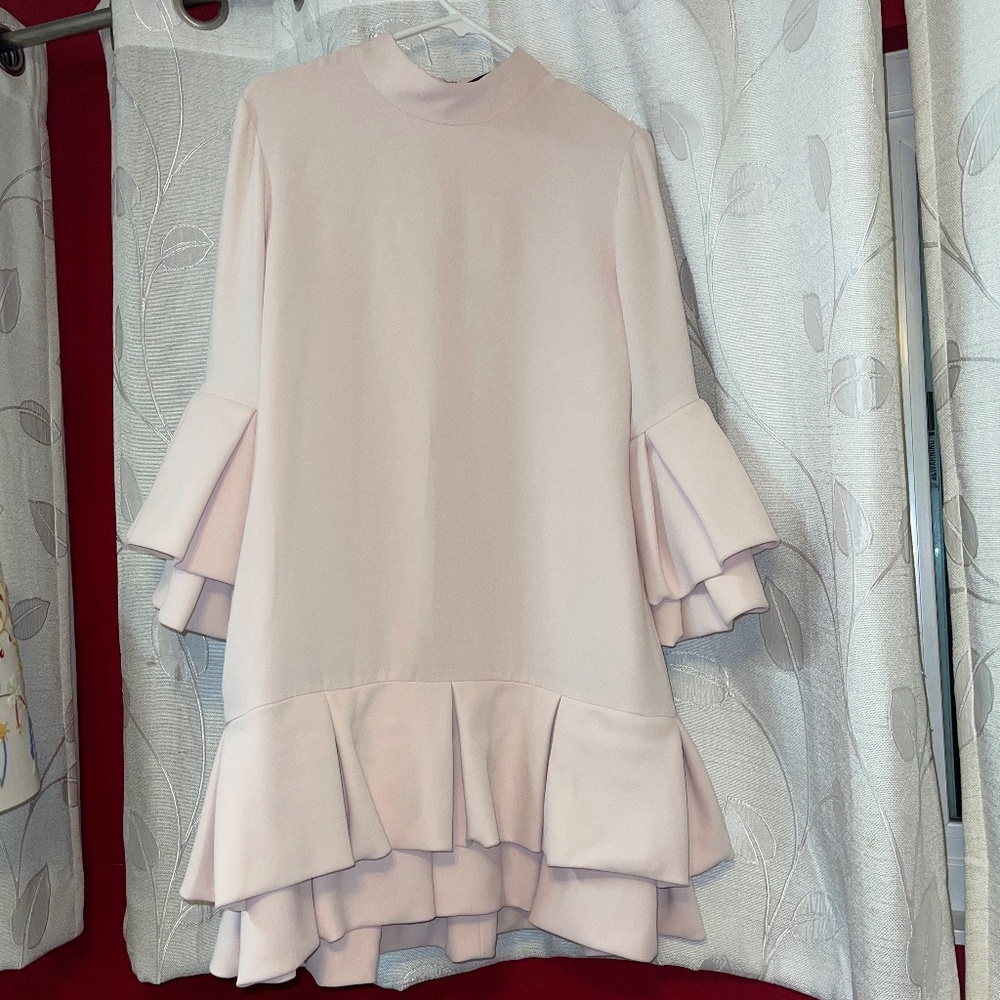 Brandon Maxwell Dress Pink Long Sleeve with Mock Neck